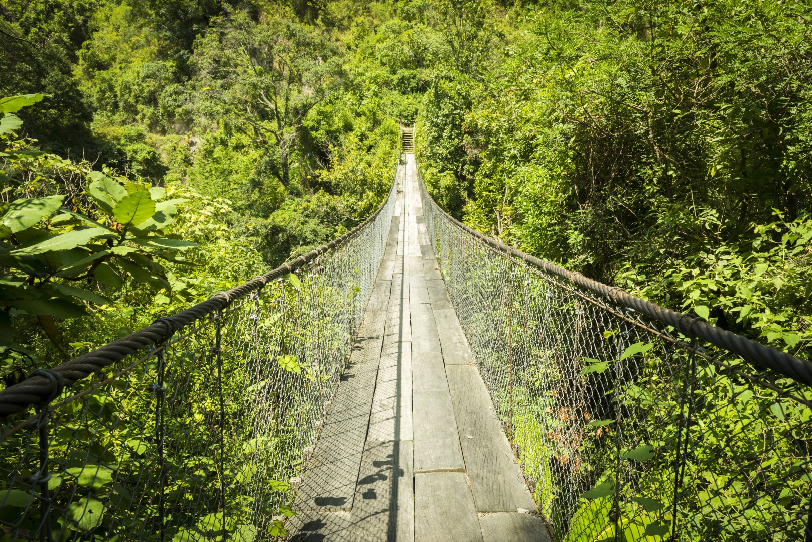 Jungle bridge over river in Guatemala, Central America